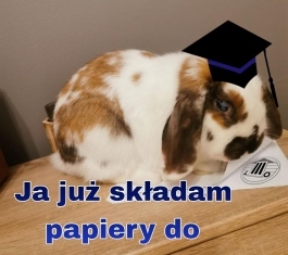 n_interntautów